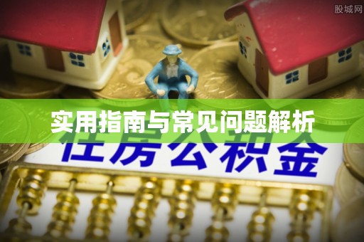 迎江实用指南与常见问题解析