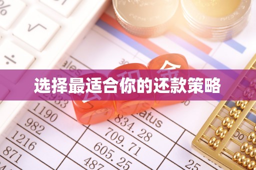 迎江选择最适合你的还款策略